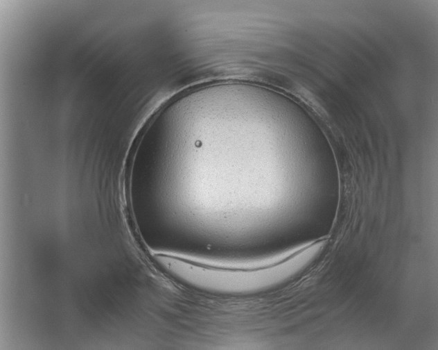 X0000062880891200601271619