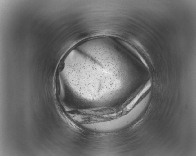 X0000062880892200601271619