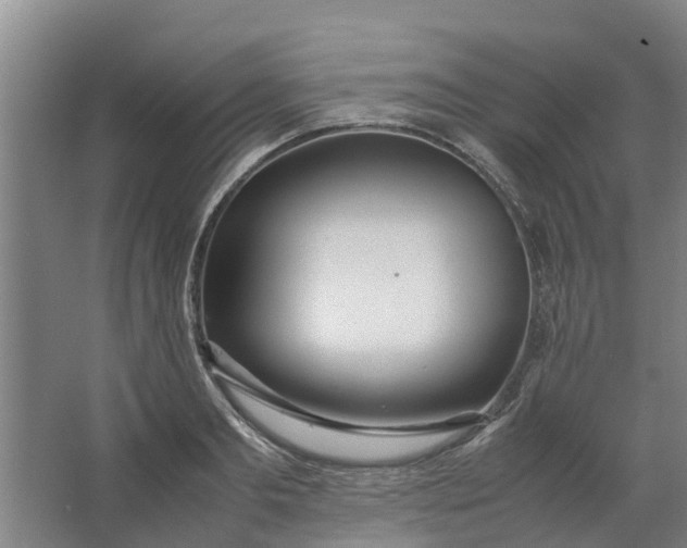 X0000062880893200601271619