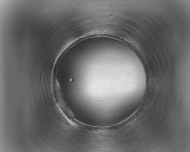 X0000062880894200601271619