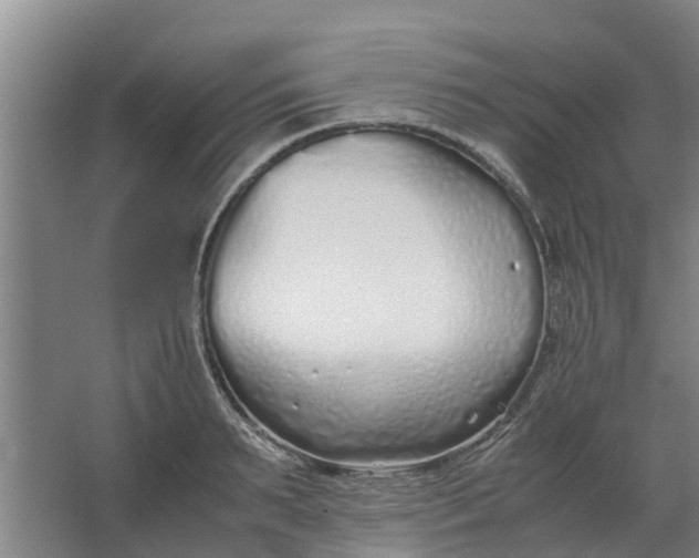 X0000062880895200601271619