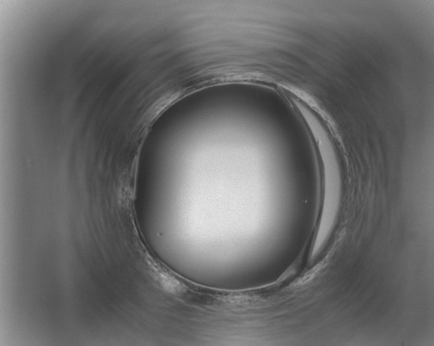 X0000062880897200601271619