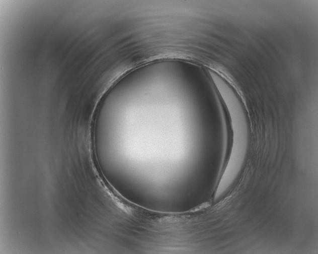 X0000062880898200601271619