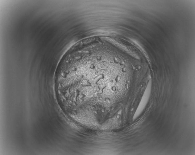 X0000062880899200601271618