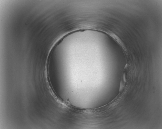 X0000062880904200601271618