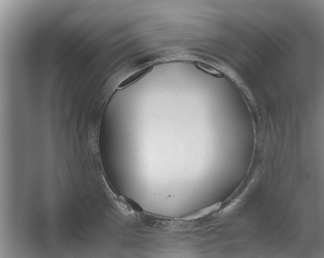 X0000062880905200601271618