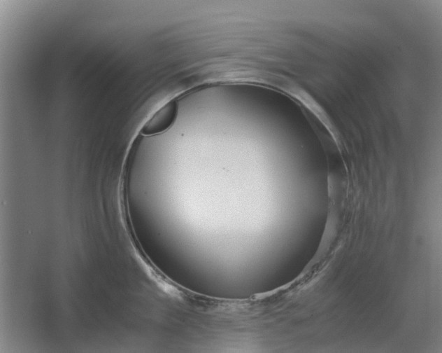 X0000062880909200601271618