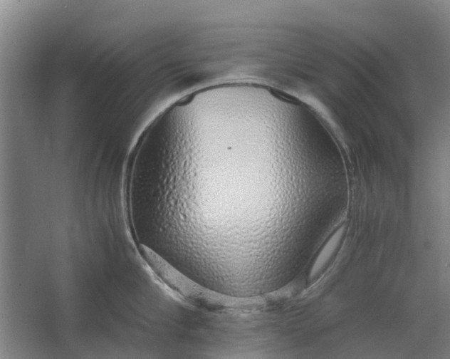 X0000062880910200601271618