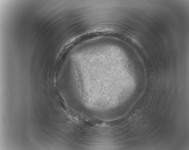 X0000062880920200601271618