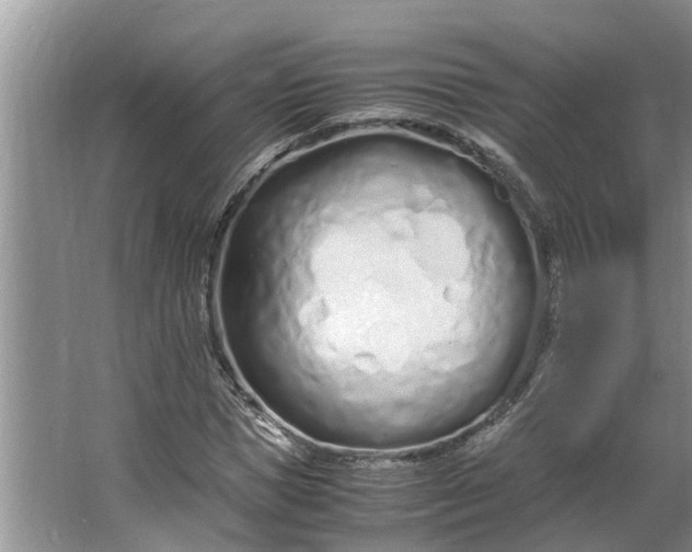 X0000062880921200601271618