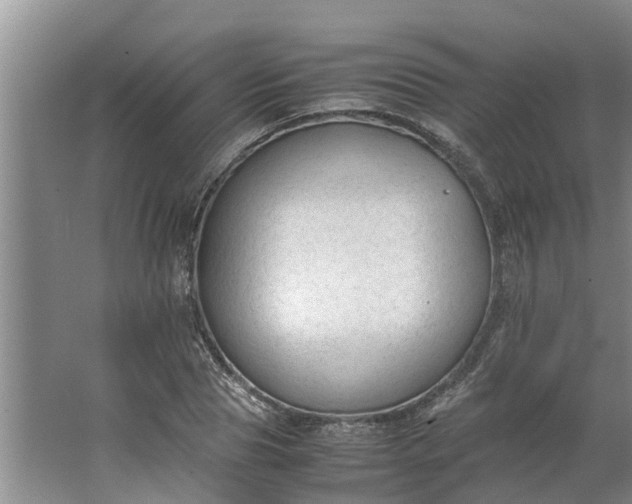 X0000062880929200601271618