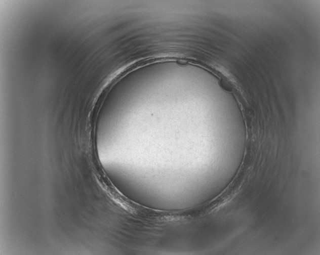 X0000062880933200601271618