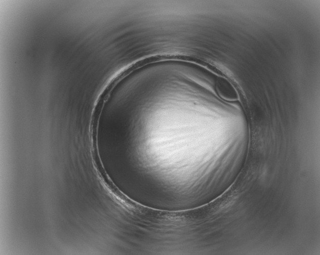 X0000062880935200601271618