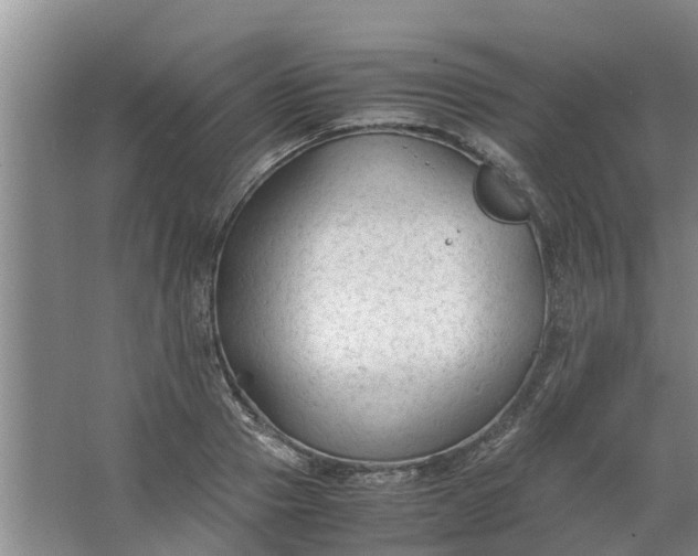 X0000062880937200601271618