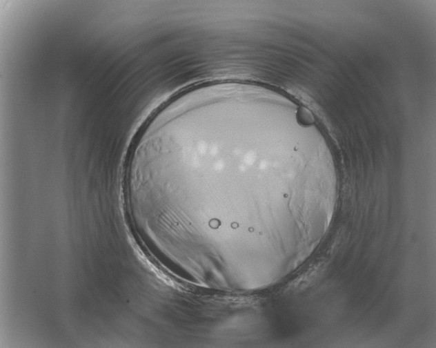 X0000062880941200601271618