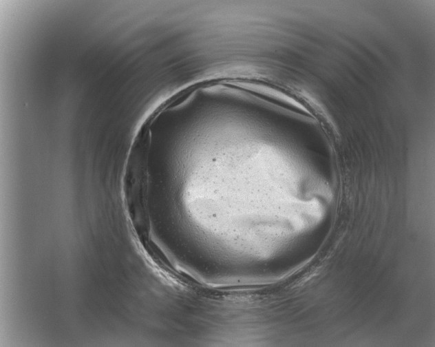 X0000062880944200601271618