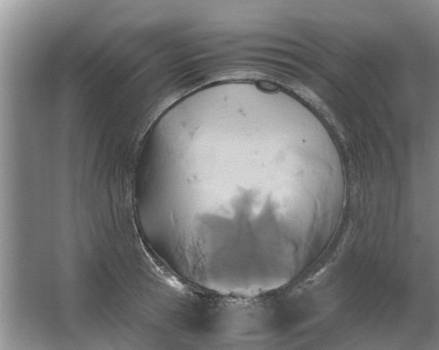 X0000062880945200601271618