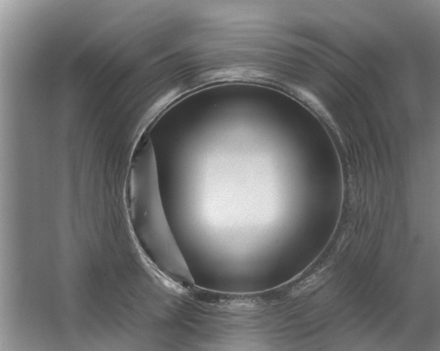 X0000062880946200601271618