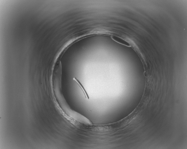 X0000062880947200601271618