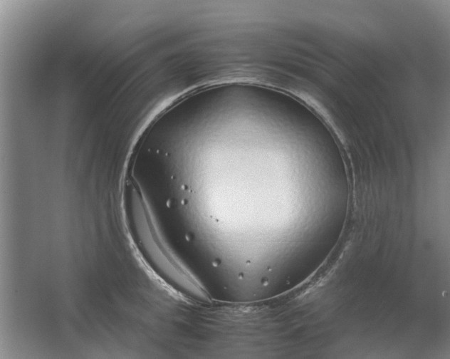 X0000062880949200601271618