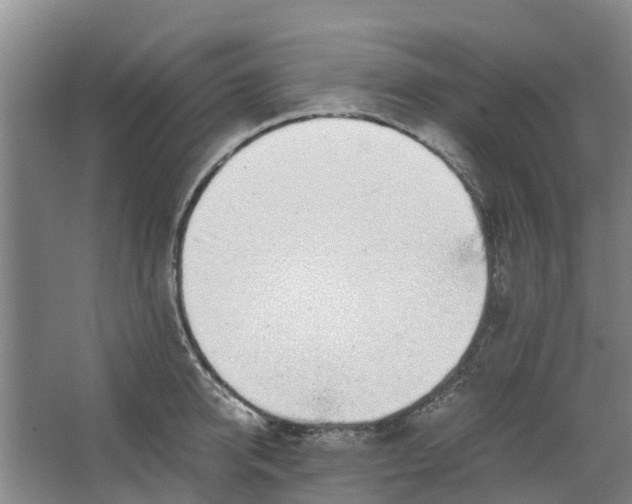 X0000062880950200601271618