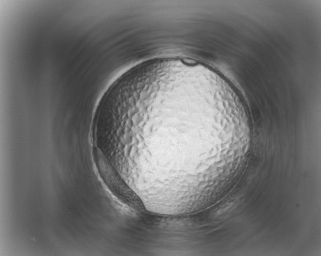 X0000062880951200601271618