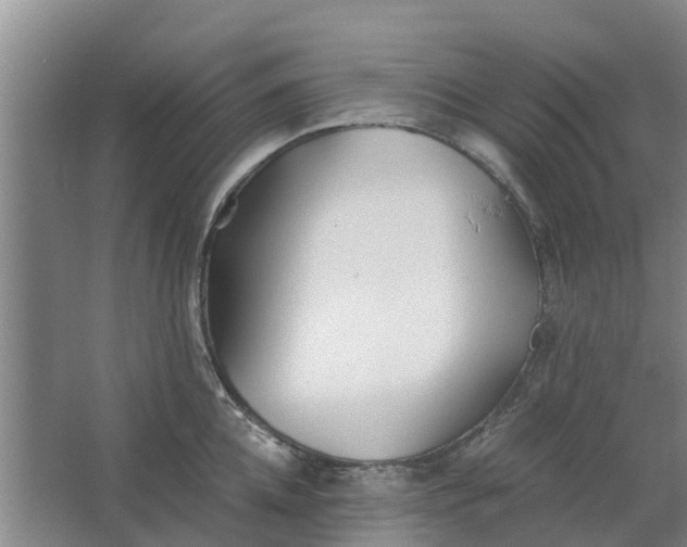 X0000062880952200601271618