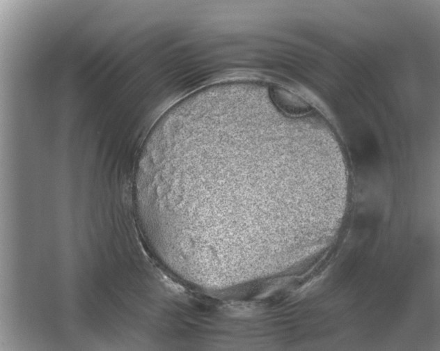 X0000062880953200601271618