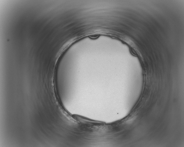 X0000062880954200601271618