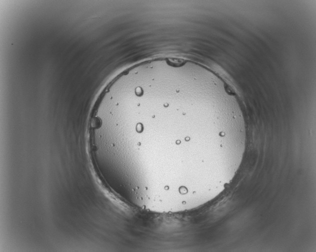 X0000062880955200601271618