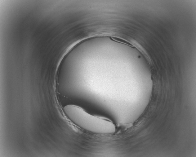 X0000062880956200601271618