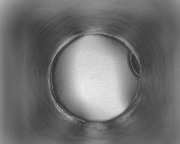 X0000062880957200601271618