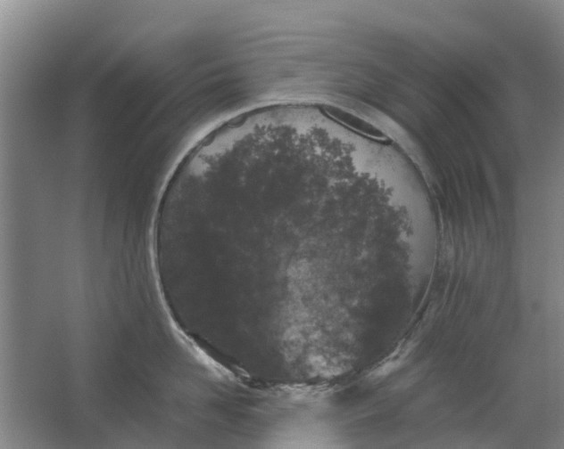 X0000062880958200601271618