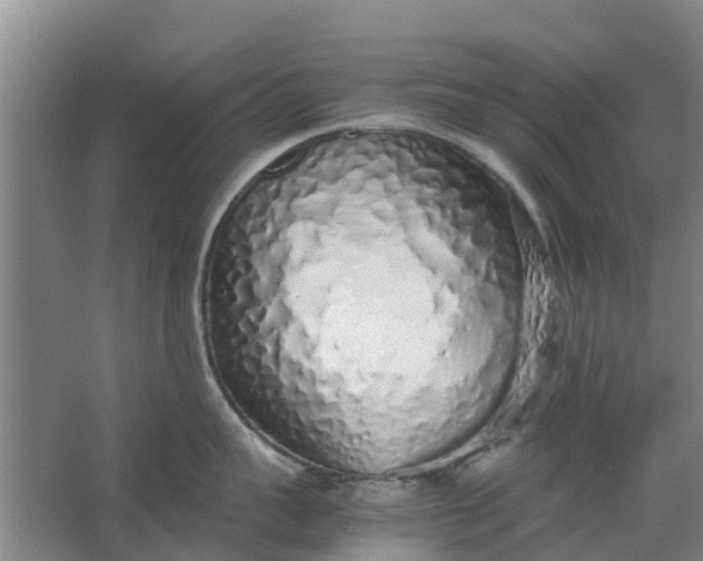 X0000062880959200601271618