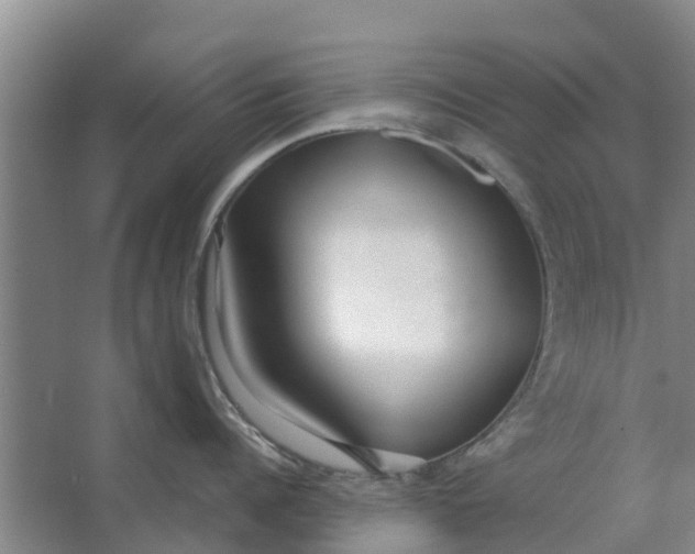 X0000062880960200601271618