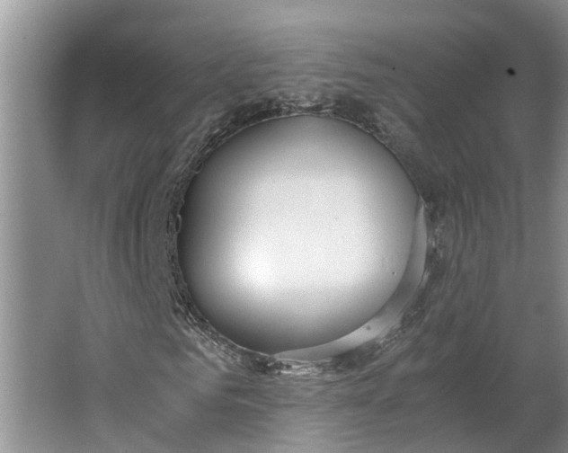 X0000062880961200601271617