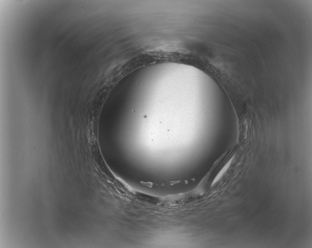 X0000062880965200601271617