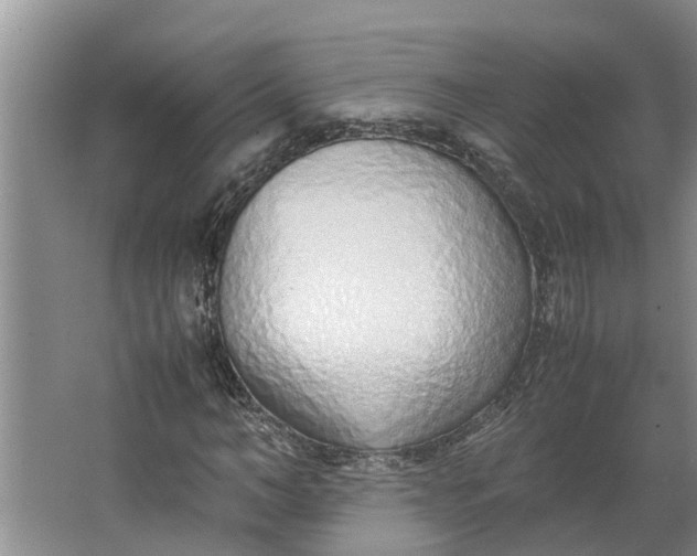 X0000062880966200601271617