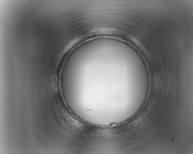 X0000062880970200601271617