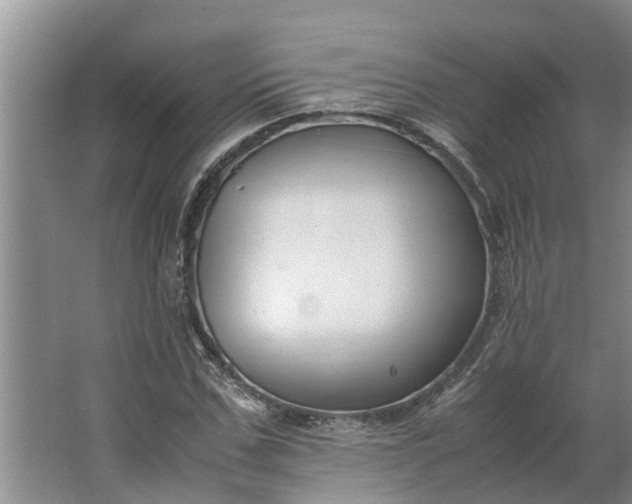 X0000062880971200601271617