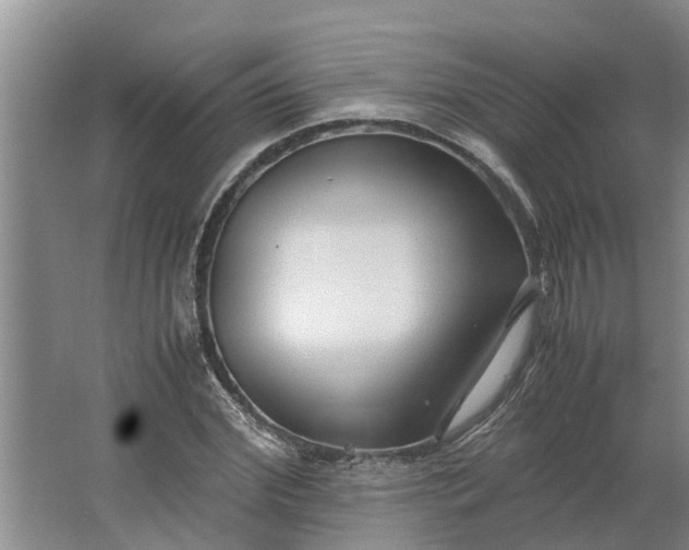 X0000062880972200601271617