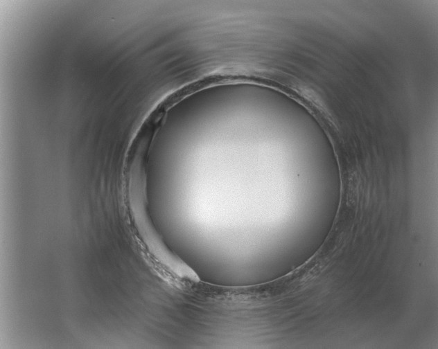 X0000062880976200601271617