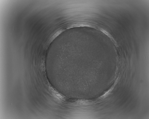 X0000062880977200601271617