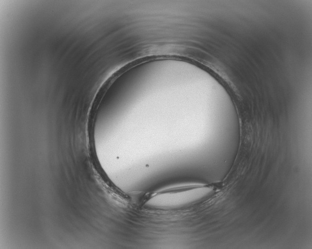 X0000062880980200601271617