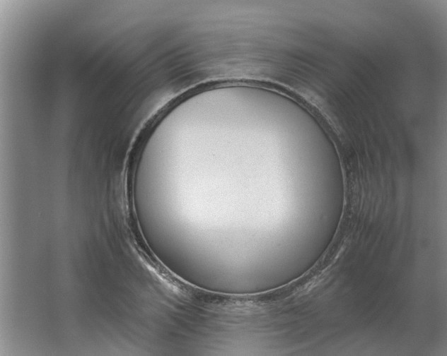 X0000062880982200601271617