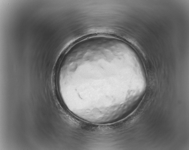 X0000062880983200601271617