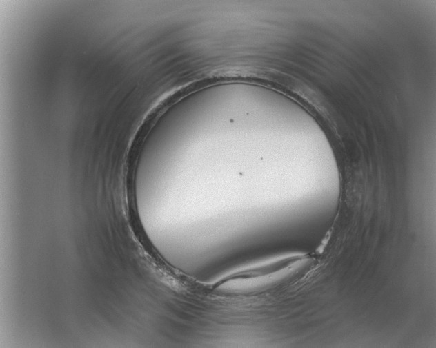 X0000062880984200601271617