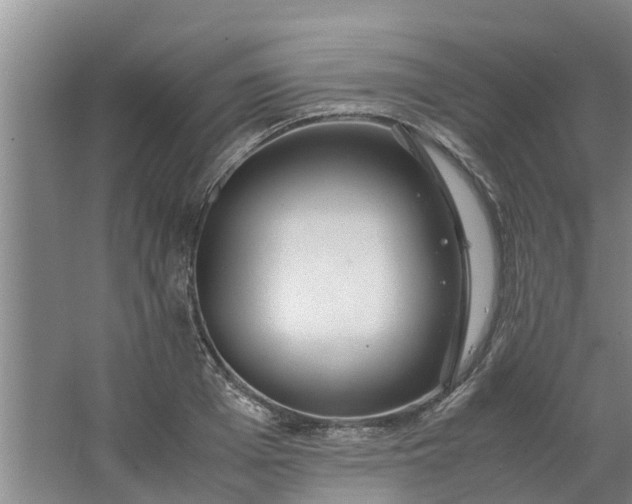 X0000062880985200601271617