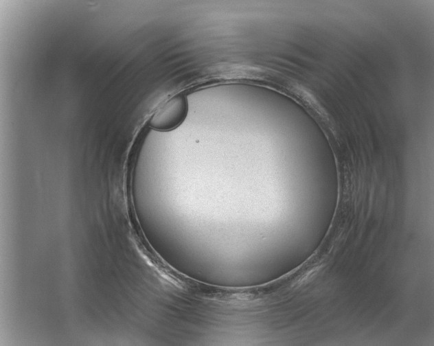 X0000062880986200601271617