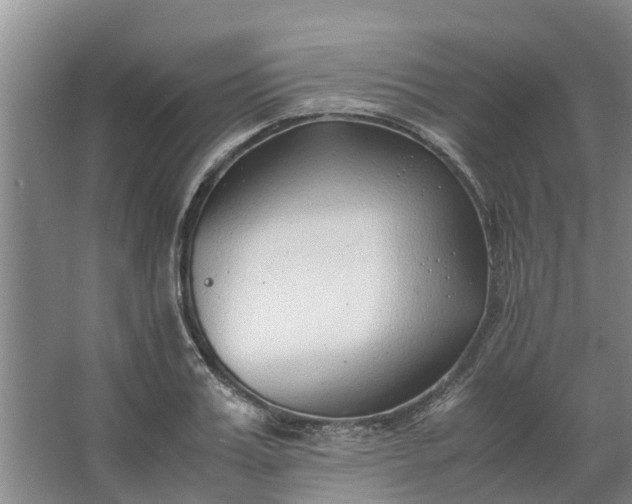 X0000062880987200601271617